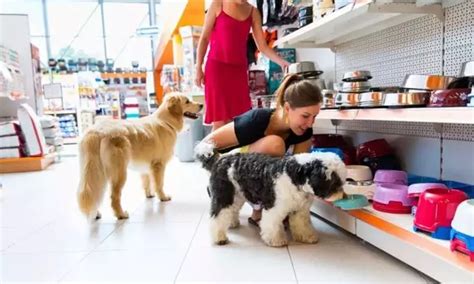 Melhores Pet Shops Em Manaus O Melhor Guia De Pet Shop Do Brasil