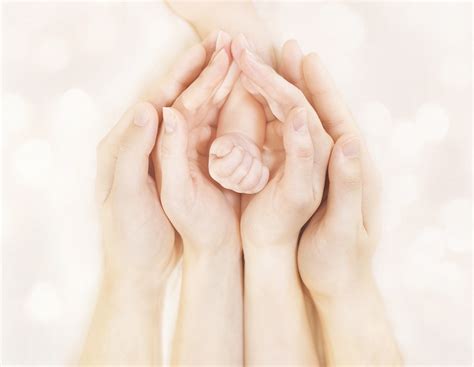 Download Family Hands and Baby New Born Arm, Mother Father Children ...