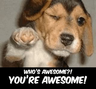 Entertainment, showbiz, music, viral videos. Awsome GIFs - Find & Share on GIPHY