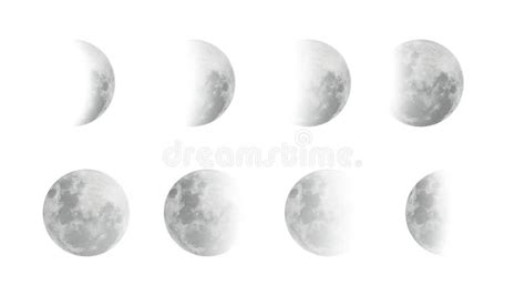 Moon Phases Vector Design Set Realistic Moon Cycle Icons Stock Vector
