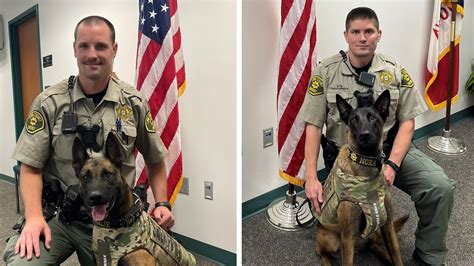 Linn County Sheriffs K9s Receive Donated Body Armor
