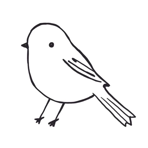 22 Bird Outlines Birds Dancing Birds In Nests Just Birds Png