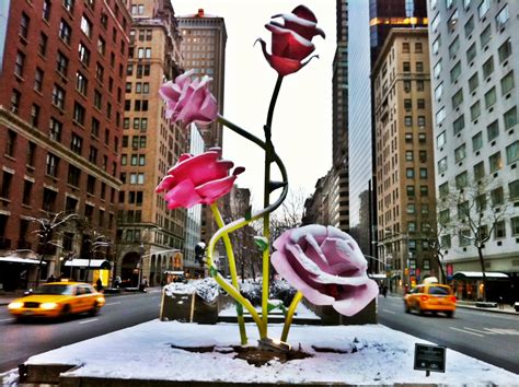 Iphone 4 New York Will Rymans The Roses On Park Avenue