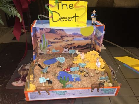 Desert Ecosystem Diorama 4th Grade Ecosystems Projects Desert
