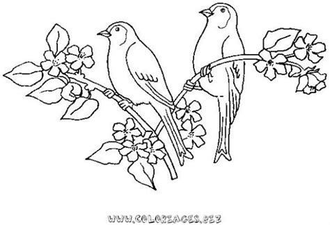 Birds #11918 (Animals) – Printable coloring pages