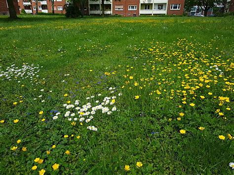 ✓ wohnungen in krefeld ✓ zur miete oder zum kauf ▷ finden sie ihr neues zuhause auf athome.de. Aktuelles - Wohnstätte Krefeld