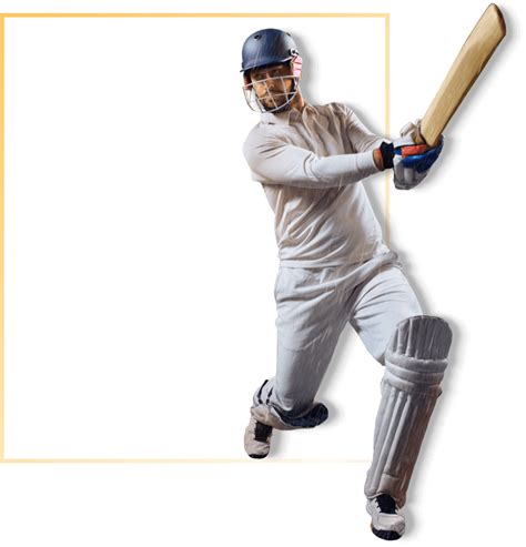 Cricket Player Png Transparent Image Download Size 763x795px