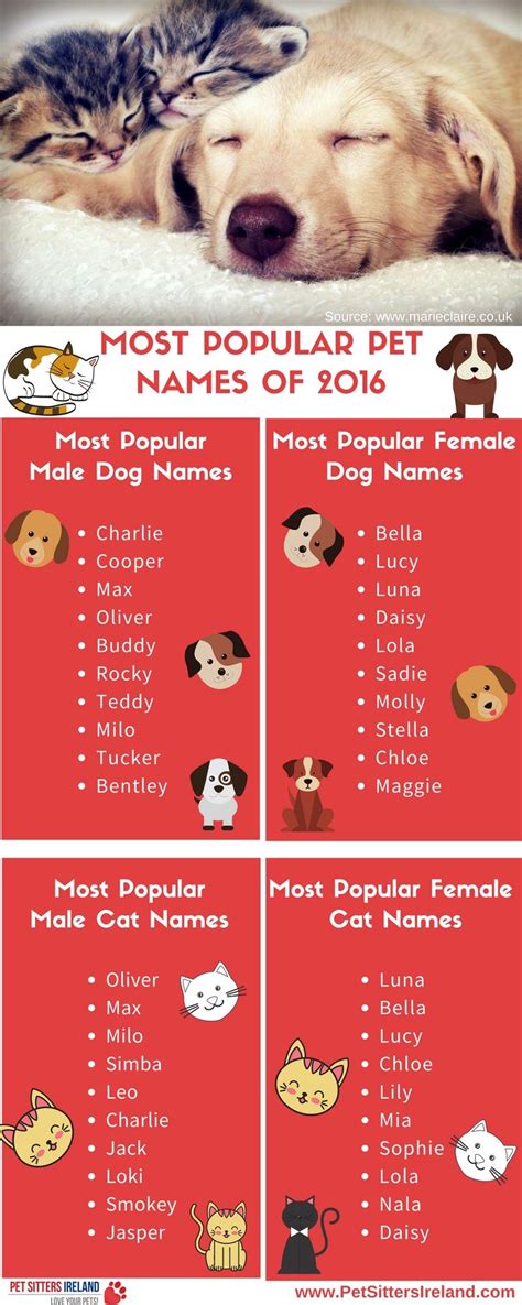 The Most Popular Pet Name In The Uk Has Been Revealed Photos