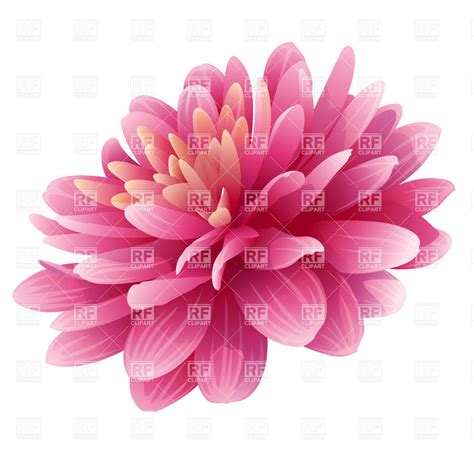 Dahlia Clip Art 20 Free Cliparts Download Images On Clipground 2023