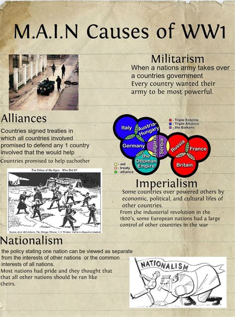 Essay On The Main Causes Of Ww1