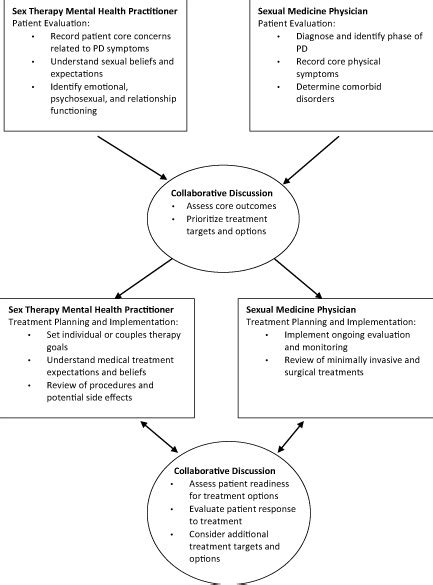 A Biopsychosocial Collaborative Model Of The Integration Of Sex Therapy