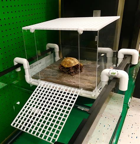Do It Yourself Turtle Basking Platform How To Set Up An Aquatic