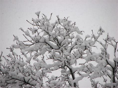 IMG 2596 December Snowstorm Keith Peters Flickr