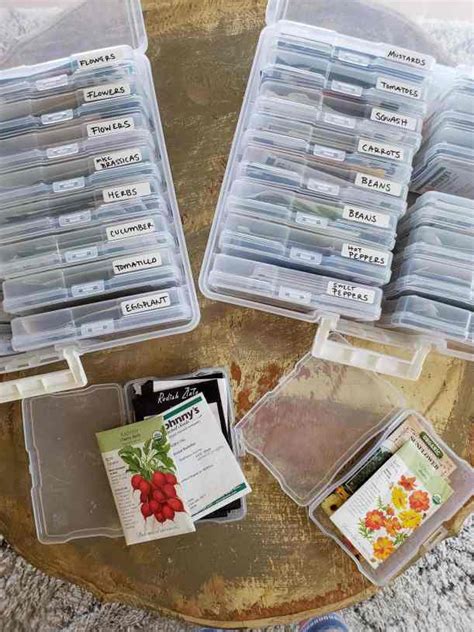 The Best Way To Organize And Store Your Garden Seed Packs ~ Homestead And