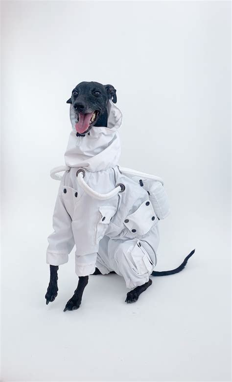 Astronaut Dog Costume Spaceman Halloween Costume Body Suit Etsy