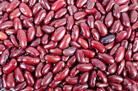 13 science backed health benefits of adzuki beans how to ripe