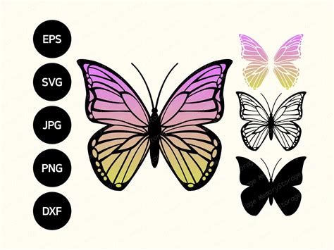 Butterfly Vector SVG for Cricut Butterfly Cutting files | Etsy