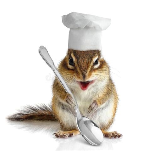 Funny Chipmunk Cook Funny Chef Chipmunk On White Affiliate