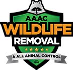 Protect your waco area home from pests with a pest control contract. Animal Removal & Control Austin TX - AAAC Wildlife Removal