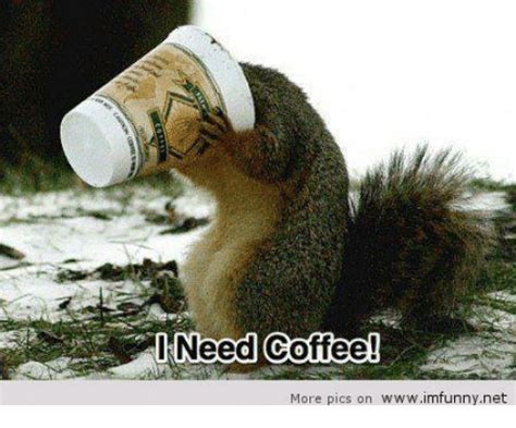 Pump up your morning with a need coffee meme! 🔥 25+ Best Memes About Need Coffee | Need Coffee Memes