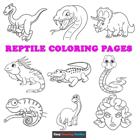 Reptiles Of North America Coloring Page In 2022 Color - vrogue.co