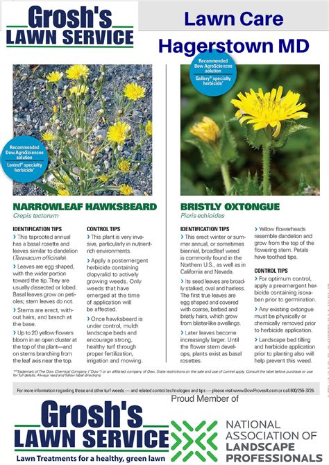 The national average is about $100. Groshs Lawn Service: Lawn Care Weeds Treatment ...