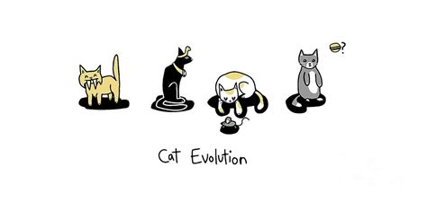 Cat Evolution Digital Art By Goli Azol Fine Art America