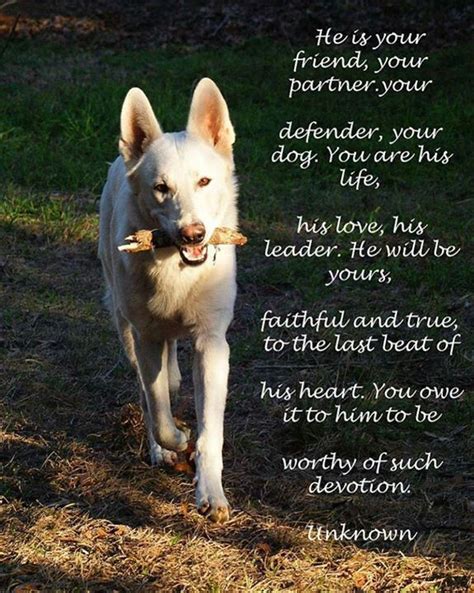 I Love My Dog Dog Poems Dog Quotes Dogs