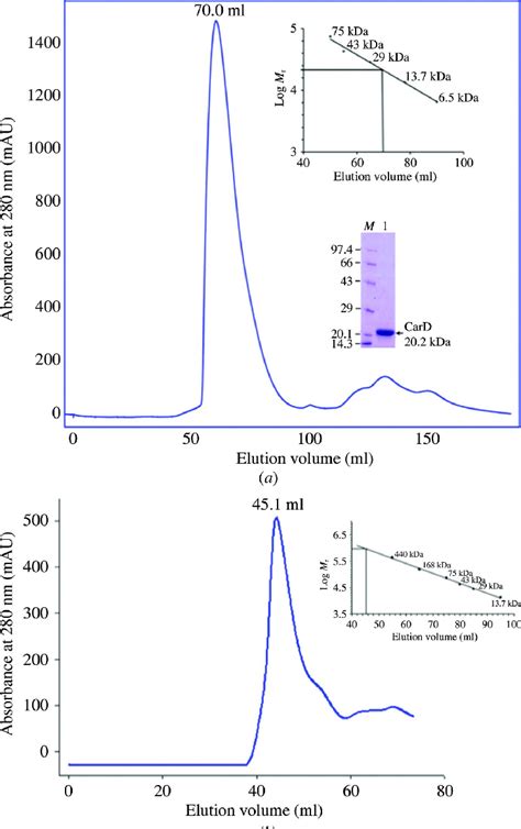 Size Exclusion Chromatography Of Mtbcard And The Taqrnap Subunit A