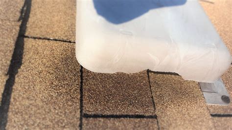 Our professional team offers an advanced solution for pest control at an affordable price at richmond. Wildlife proof your roof - SIA Wildlife Control INC.