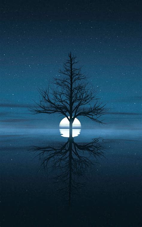 800x1280 Moon Set Behind Tree Nexus 7samsung Galaxy Tab 10note