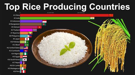 It is worth mentioning also that red or wild rice has become a major problem of rice production in malaysia, the central plain in thailand and the mekong delta in vietnam where direct. Top Rice Producing Countries 1960 to 2019