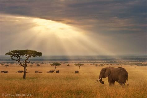 The Beauty Of Africa Places To Travel Wonders Of The World Nature