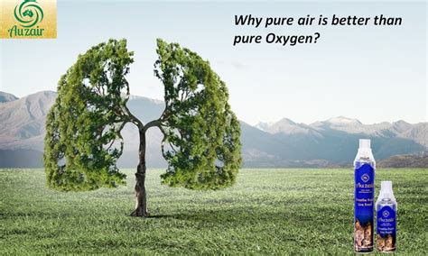 Why Pure Air Is Better Than Pure Oxygen By Auzair India Medium