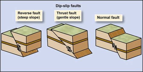 Faults And Folds Flashcards Quizlet