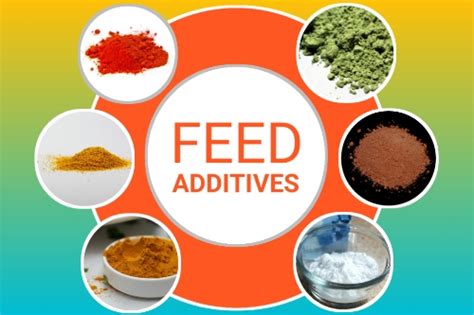 Feed Additives As Essential Inputs For Dairy Industry Epashupalan