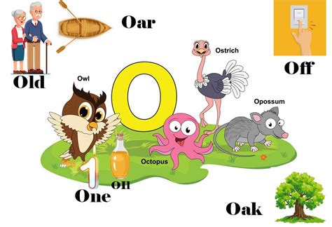 List Of 3 Letter Words That Start With O For Children To Learn