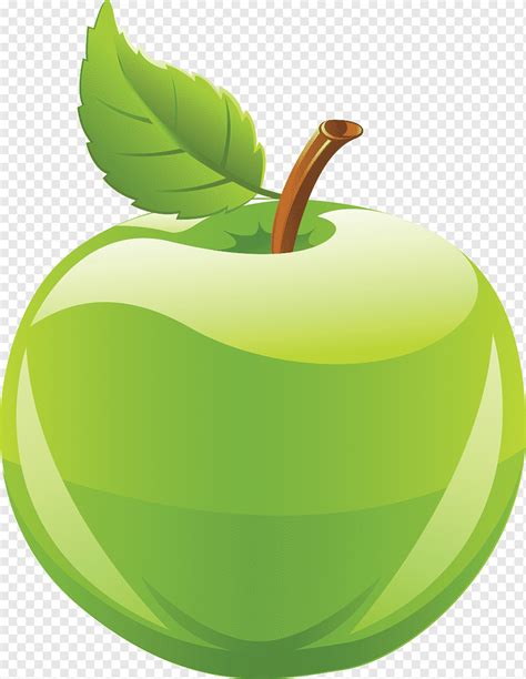 Gambar aneka contoh sketsa kupu unik warnagambar gambar kolase via rebanas.com. Gambar Sketsa Apel Hijau / Lukisan Buah Epal Cikimm Com - Gambar pohon apel hijau terlihat keren.
