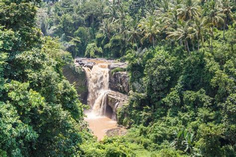 Tegenungan Waterfall On Bali Island Stock Image Image Of Scenery