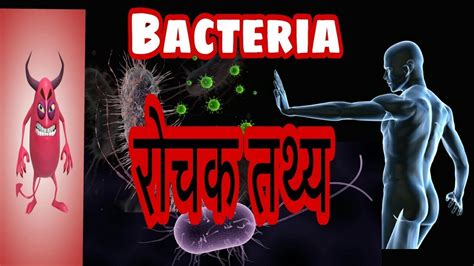 Amazing Facts about Bacteria in Hindi जवणओ स जड रचक तथय by