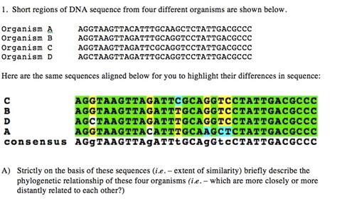 Solved Short Regions Of DNA Sequence From Four Different Chegg Com