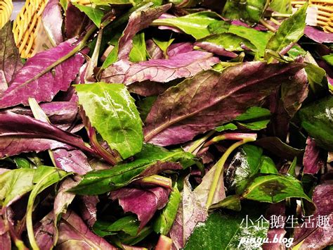 The site owner hides the web page description. 夏部Shabu壽喜燒｜新竹美食：七種精緻肉品 台東野菜吃到飽 - 小企鵝生活趣