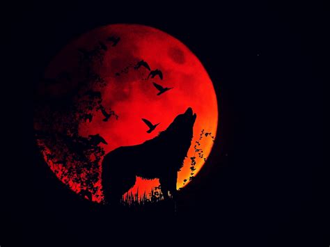 Download Wallpaper 1600x1200 Wolf Howl Silhouette Full Moon Fire
