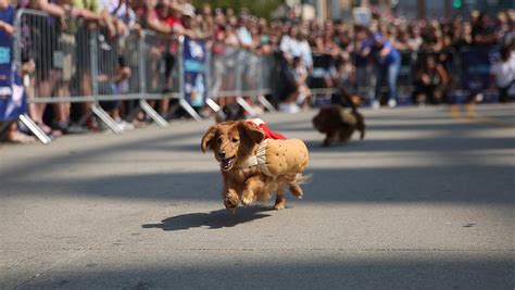 Wet willie's 200 dauphin street mobile, al. Running of the Wieners provides early kickoff for ...