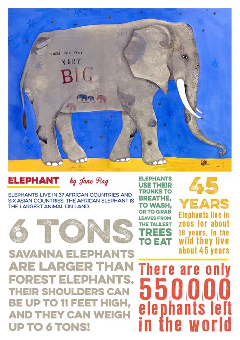 How Many Elephants left? | Chicken Newspaper for Children