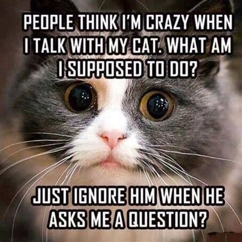 A consistent presence through it all. Funny Animal Memes | LuvBat