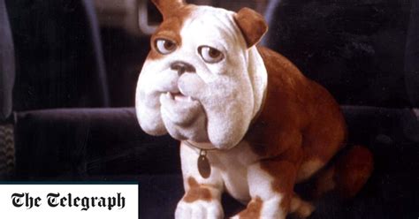 'Ohh no': Churchill replaces famous nodding dog in rebrand