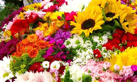 Buy fresh cut flowers directly from flower farmers across the us and abroad. Buy fresh cut flowers from Floral Wholesaler in Canada ...