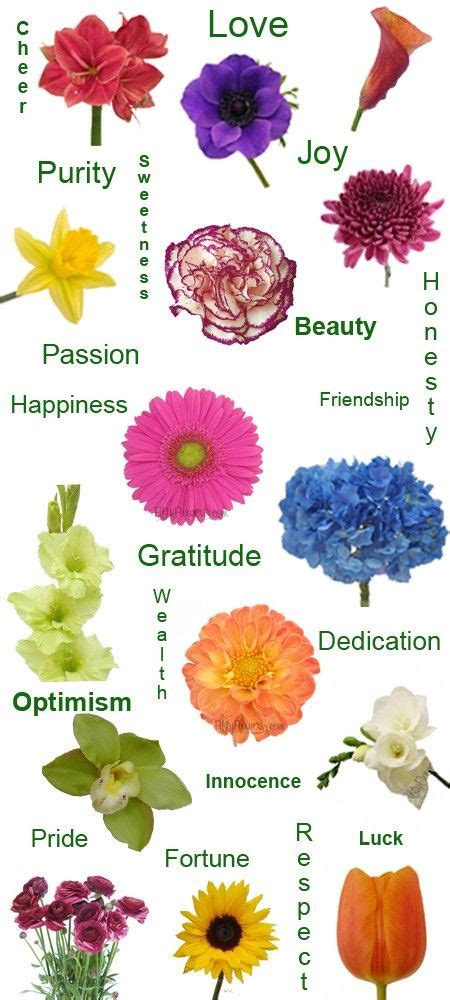 flowers meanings chart flowers art ideas pages dev