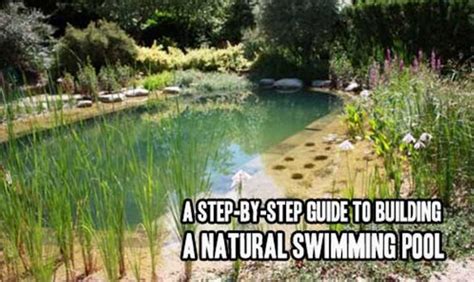 Step By Step Guide To Building A Natural Swimming Pool